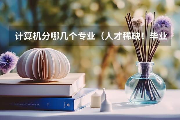 计算机分哪几个专业（人才稀缺！毕业年薪高达百万！这15所高校人工智能类专业超牛）