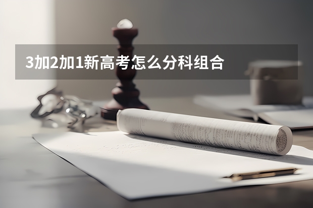 3加2加1新高考怎么分科组合
