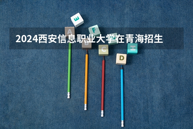 2024西安信息职业大学在青海招生计划