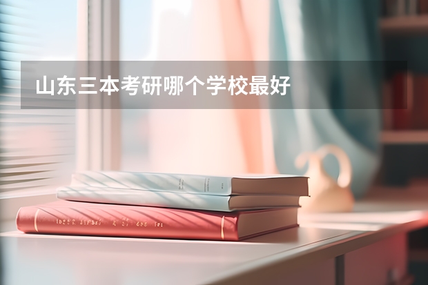山东三本考研哪个学校最好