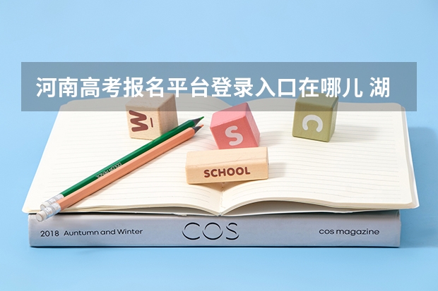 河南高考报名平台登录入口在哪儿 湖北高考志愿查询网官网入口:http://zsxx.e21.cn