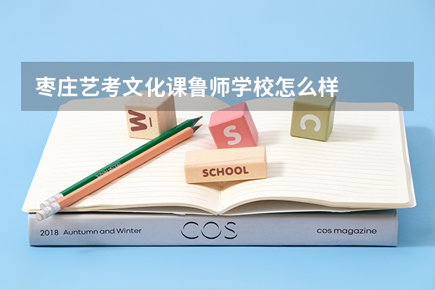 枣庄艺考文化课鲁师学校怎么样