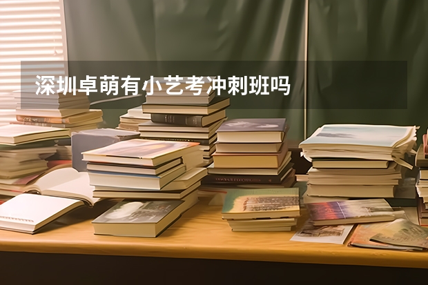 深圳卓萌有小艺考冲刺班吗