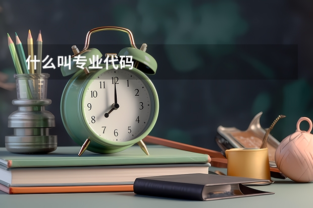 什么叫专业代码
