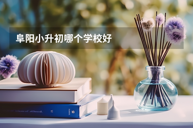 阜阳小升初哪个学校好