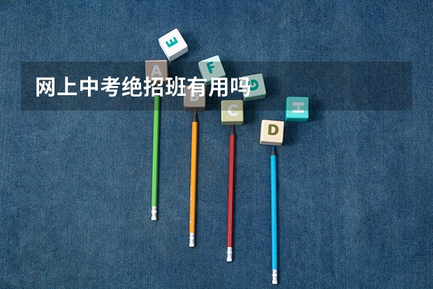网上中考绝招班有用吗