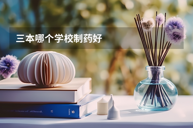 三本哪个学校制药好
