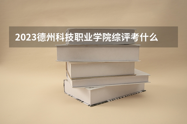 2023德州科技职业学院综评考什么