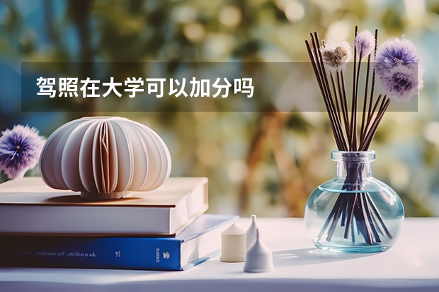 驾照在大学可以加分吗