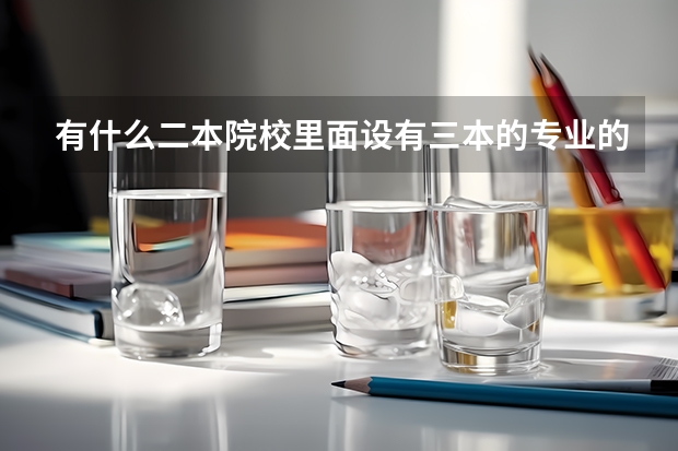 有什么二本院校里面设有三本的专业的？急！！！我是广西考生