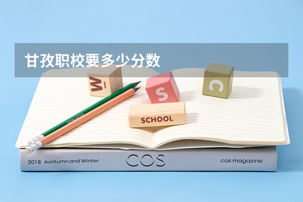 甘孜职校要多少分数