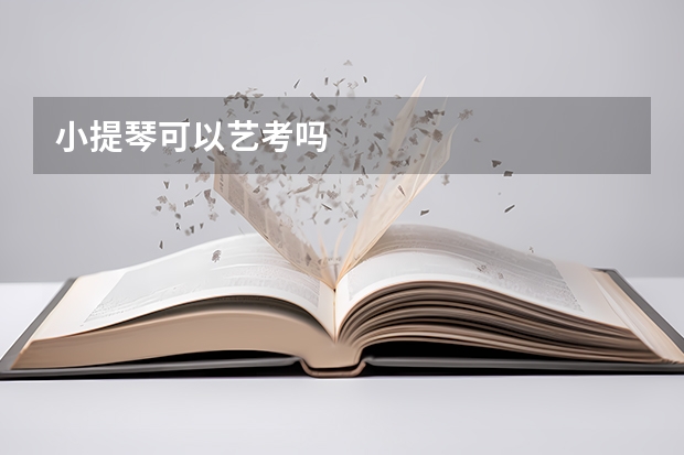 小提琴可以艺考吗