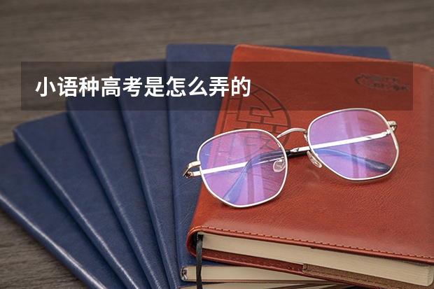 小语种高考是怎么弄的