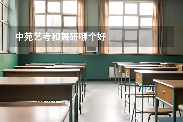 中苑艺考和舞研哪个好