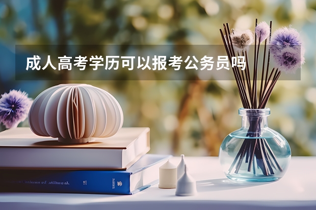 成人高考学历可以报考公务员吗