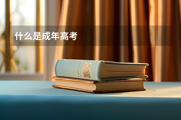 什么是成年高考