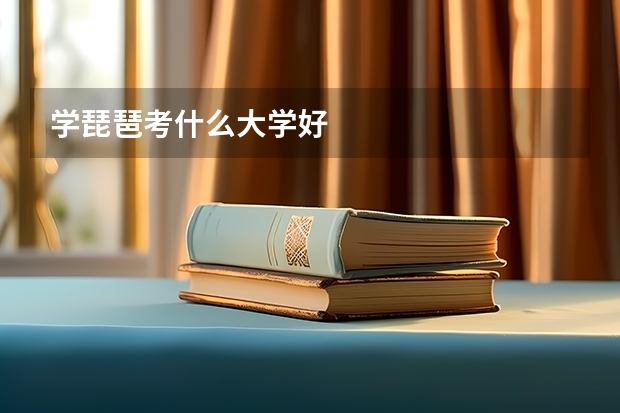 学琵琶考什么大学好