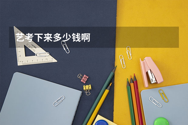 艺考下来多少钱啊