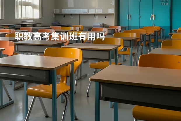 职教高考集训班有用吗