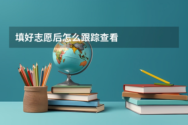 填好志愿后怎么跟踪查看
