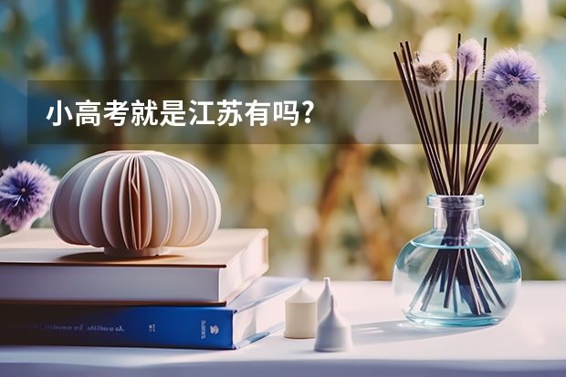 小高考就是江苏有吗?