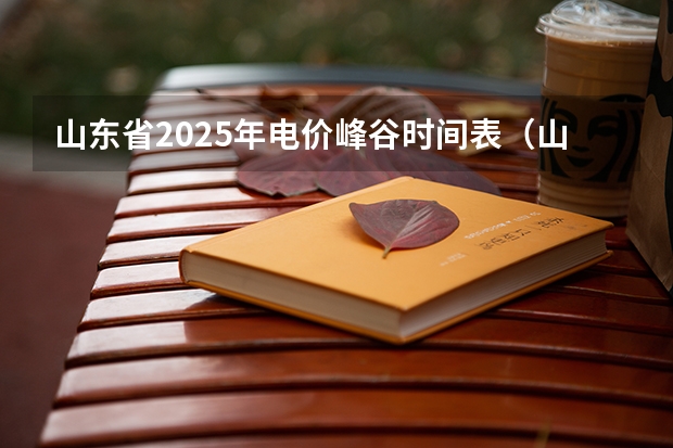山东省2025年电价峰谷时间表（山东省2025年三支一扶报名时间）