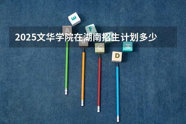 2025文华学院在湖南招生计划多少人