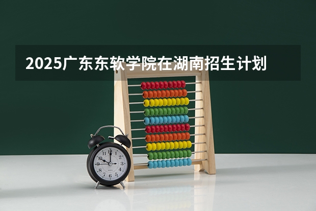 2025广东东软学院在湖南招生计划多少人