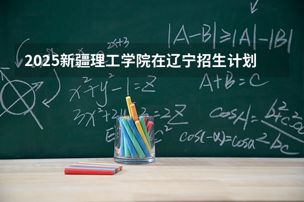 2025新疆理工学院在辽宁招生计划多少人