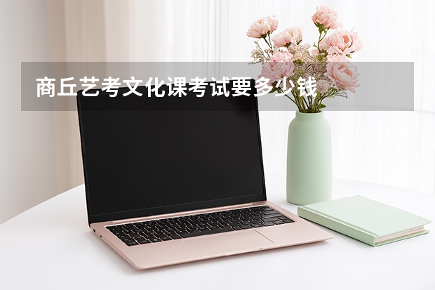 商丘艺考文化课考试要多少钱