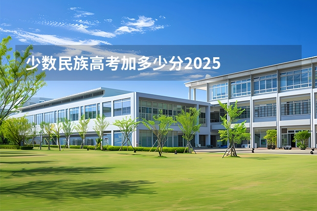 少数民族高考加多少分2025