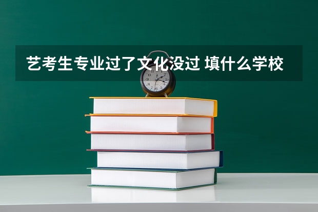艺考生专业过了文化没过 填什么学校