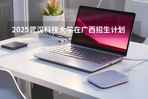 2025武汉科技大学在广西招生计划多少人