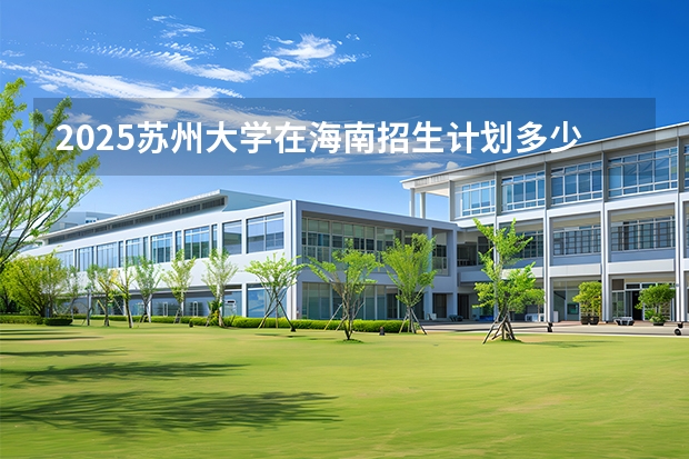 2025苏州大学在海南招生计划多少人