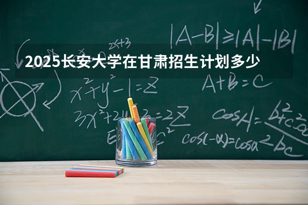 2025长安大学在甘肃招生计划多少人