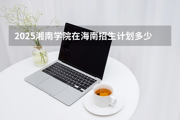 2025湘南学院在海南招生计划多少人