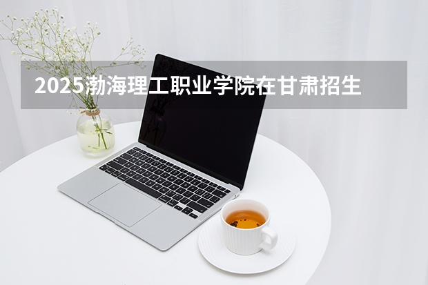 2025渤海理工职业学院在甘肃招生计划多少人