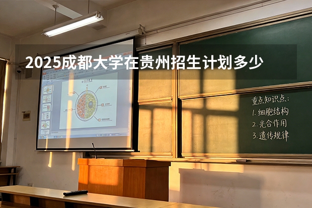 2025成都大学在贵州招生计划多少人